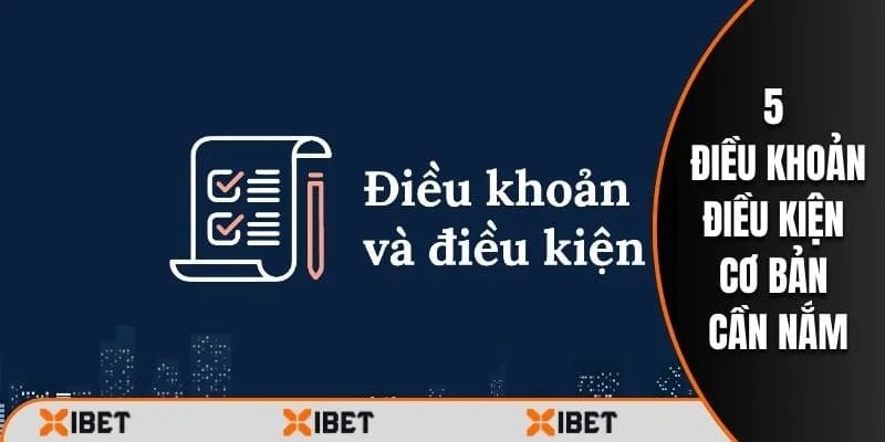 Chi tiết quy định Điều khoản & Điều kiện tại Xibet