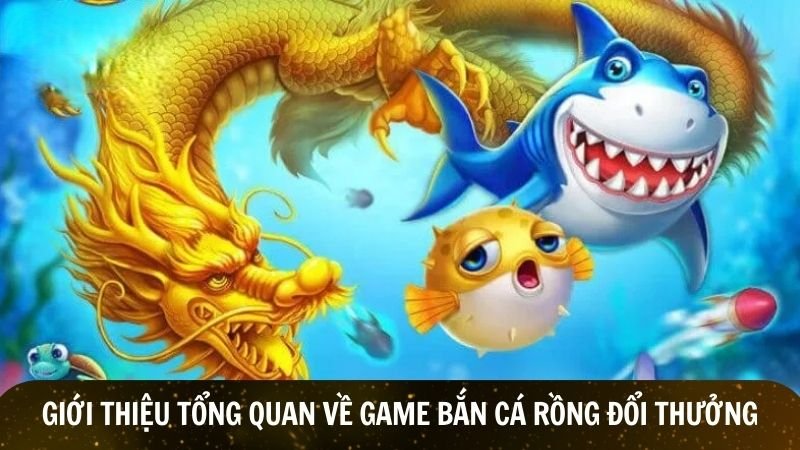 Giới thiệu tổng quan về game bắn cá rồng đổi thưởng