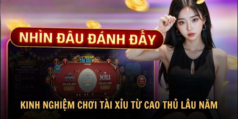 Kinh nghiệm chơi tài xỉu từ cao thủ lâu năm
