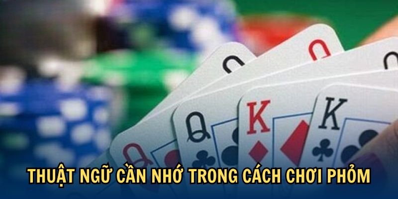Thuật ngữ quan trọng cần nhớ để chinh phục phỏm Xibet
