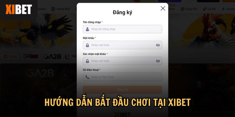 Hướng dẫn bắt đầu chơi tại Xibet